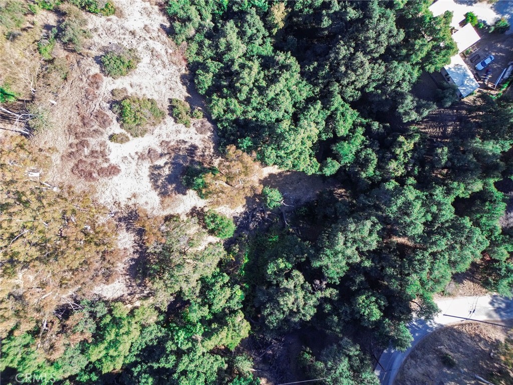 0 Live Oak Canyon Road