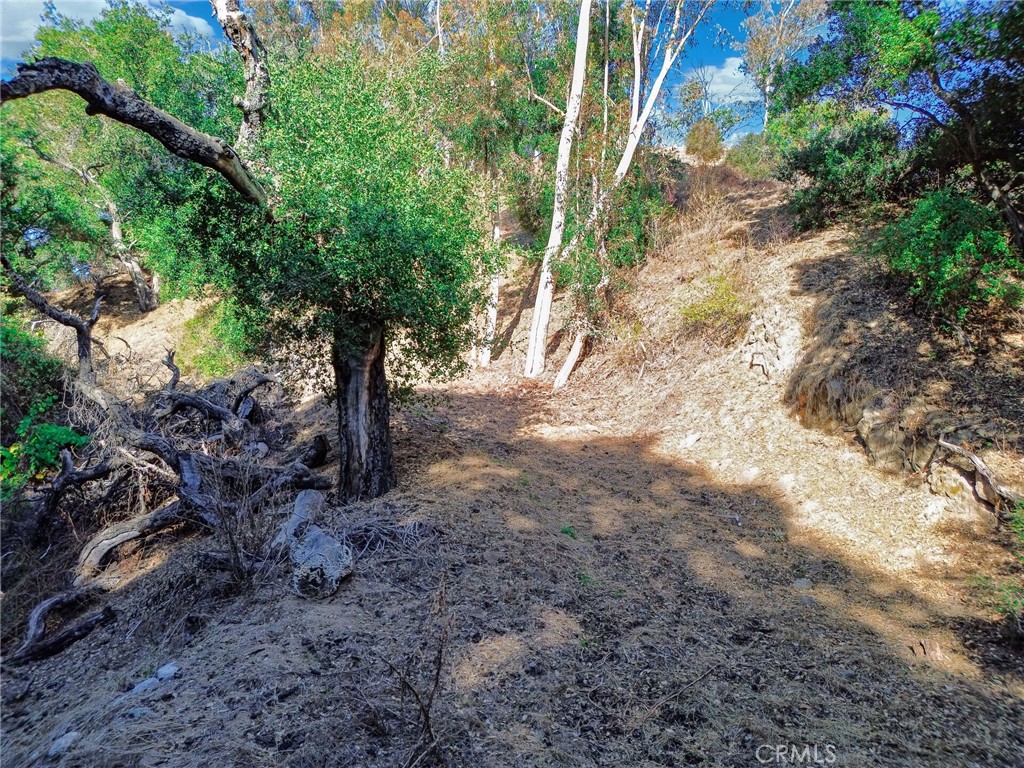 0 Live Oak Canyon Road