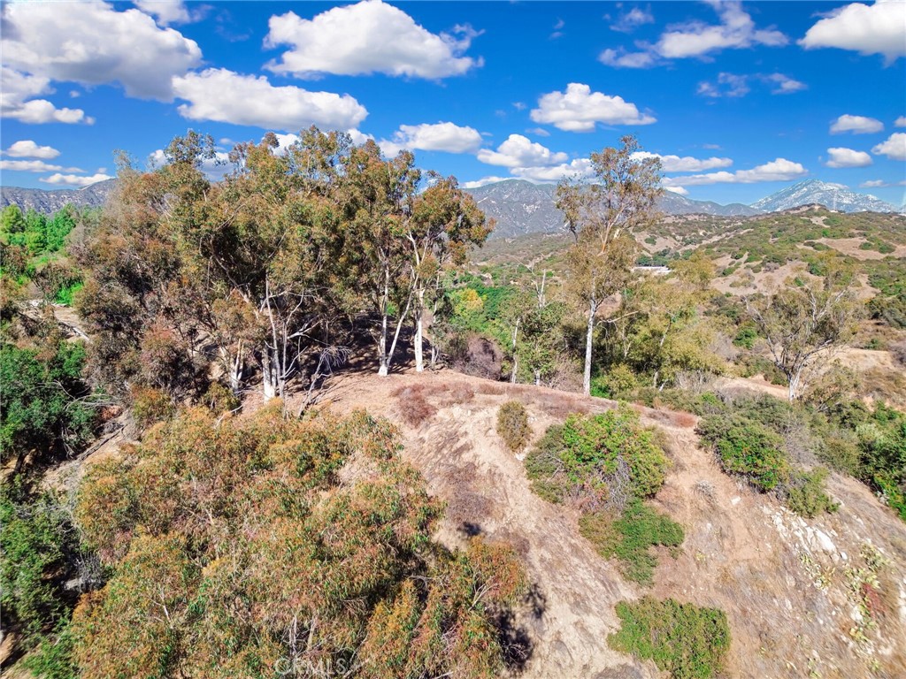 0 Live Oak Canyon Road