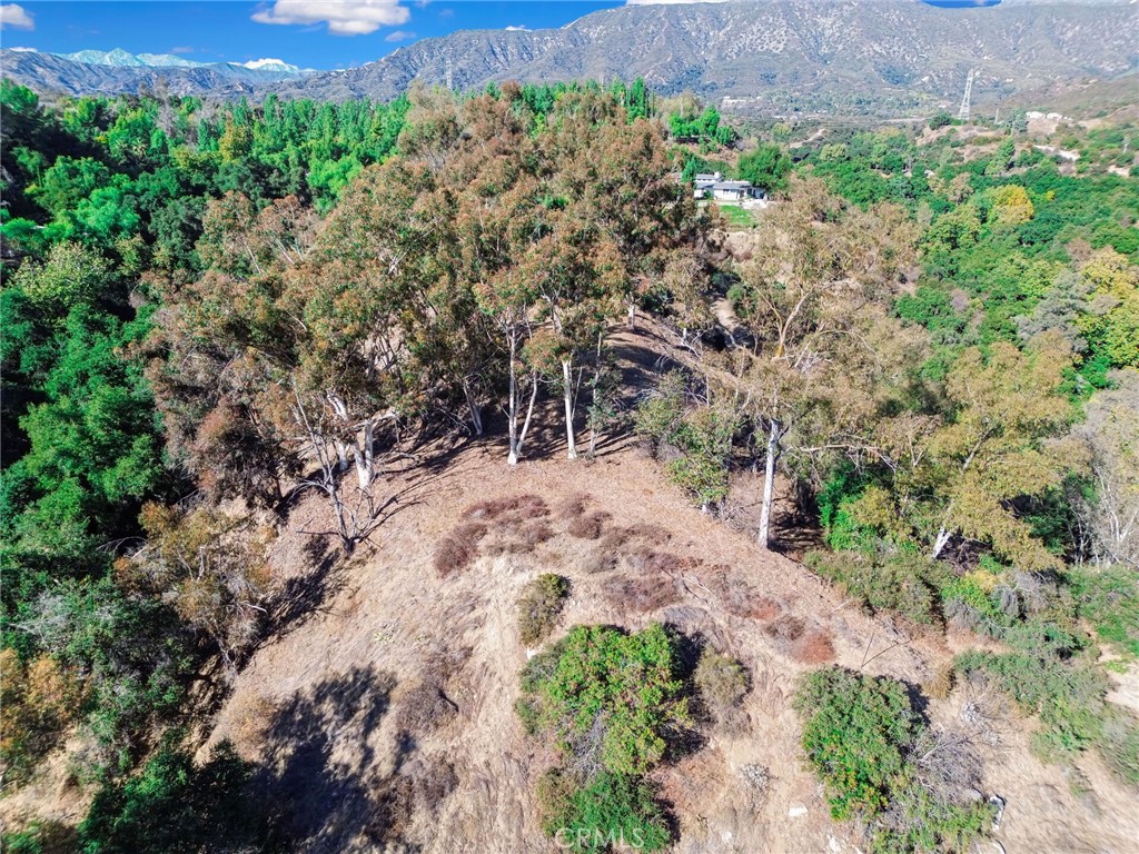 0 Live Oak Canyon Road