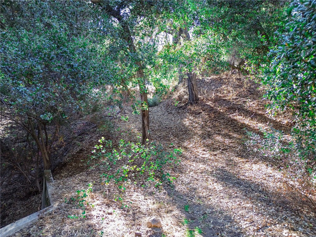 0 Live Oak Canyon Road