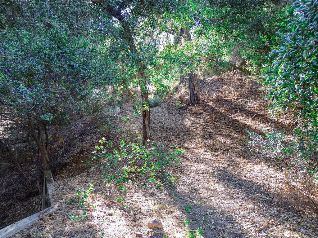 0 Live Oak Canyon Road