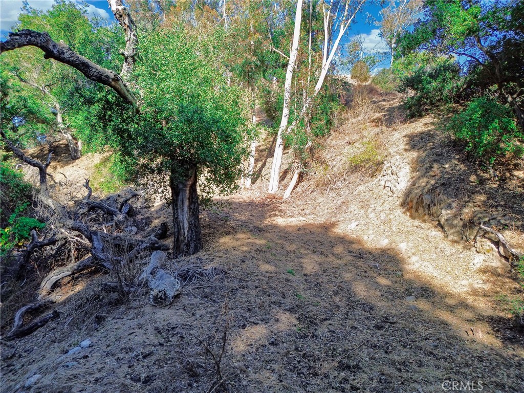 0 Live Oak Canyon Road