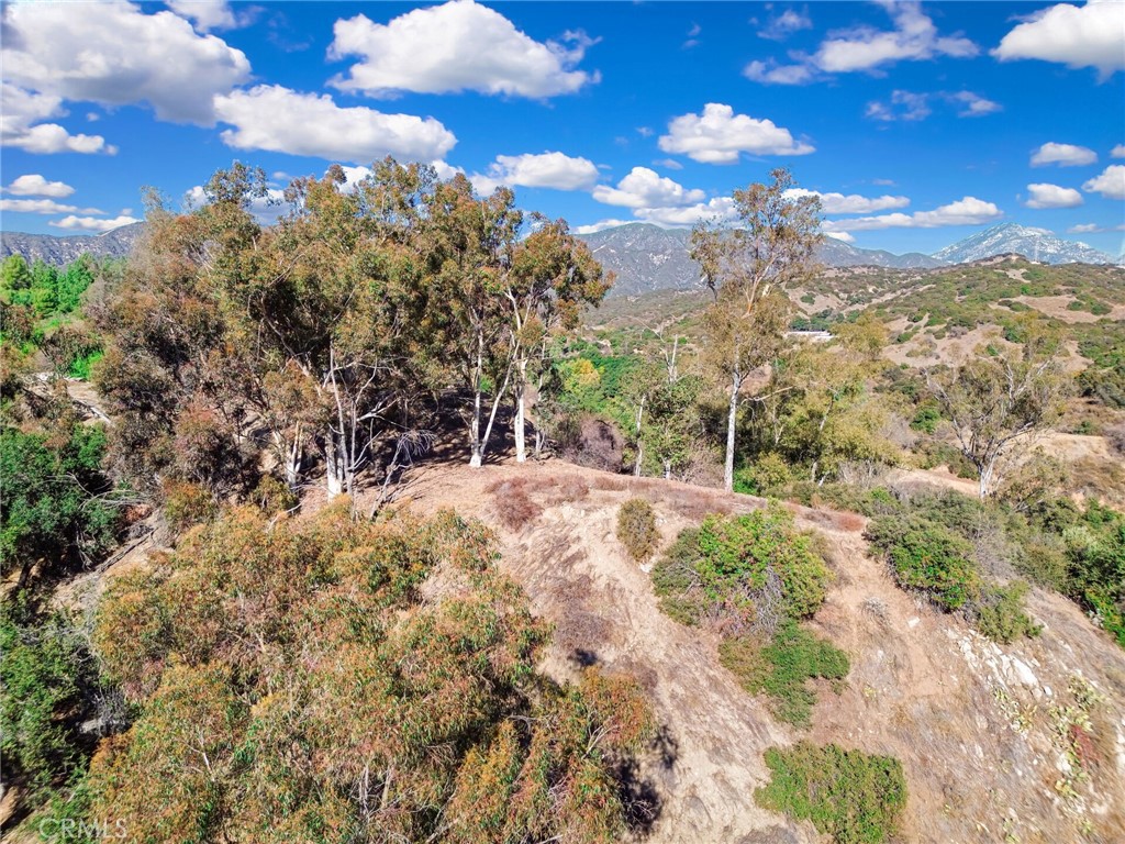 0 Live Oak Canyon Road