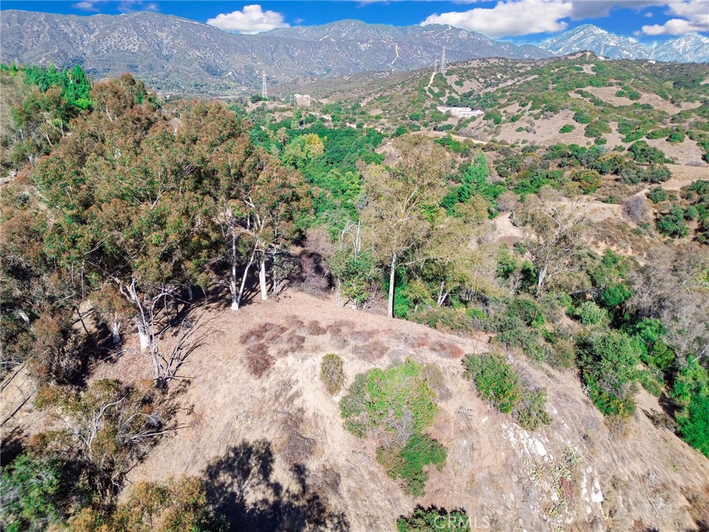 0 Live Oak Canyon Road