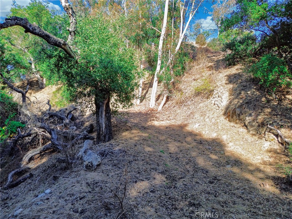 0 Live Oak Canyon Road