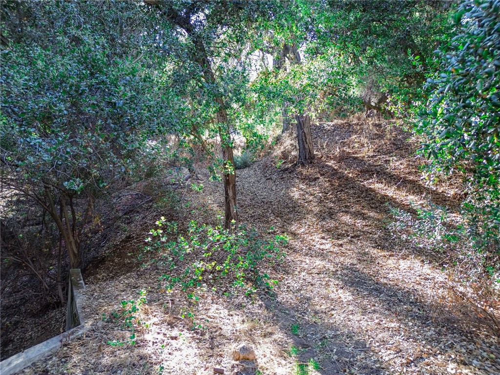 0 Live Oak Canyon Road