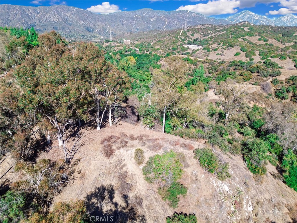0 Live Oak Canyon Road