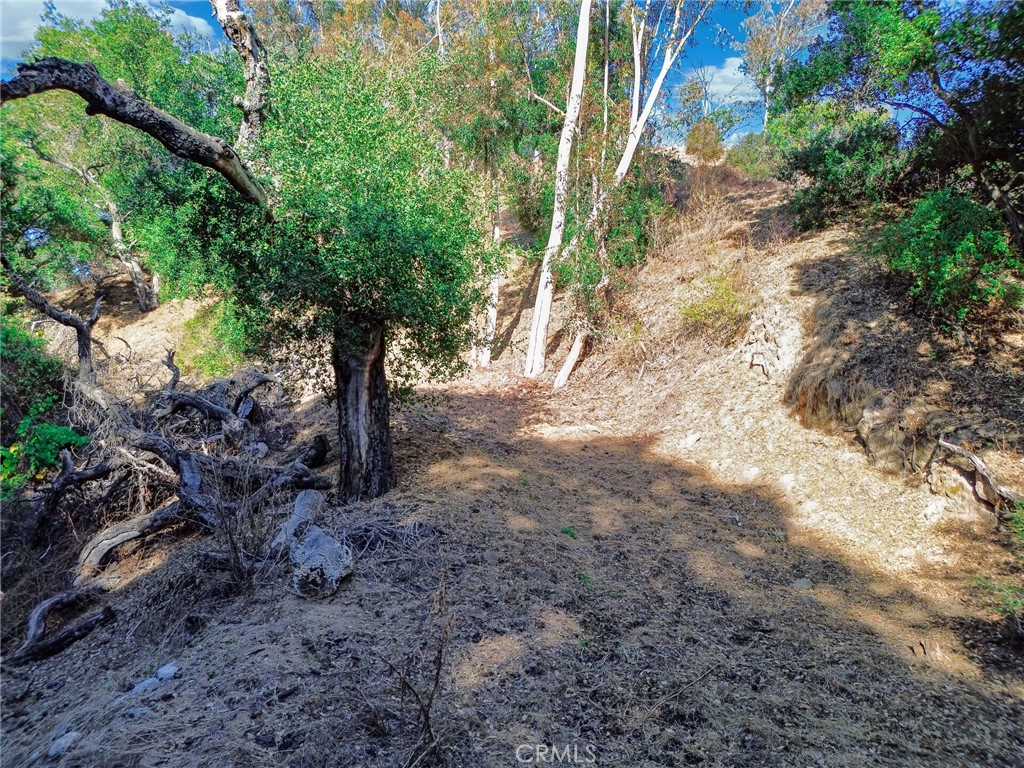 0 Live Oak Canyon Road