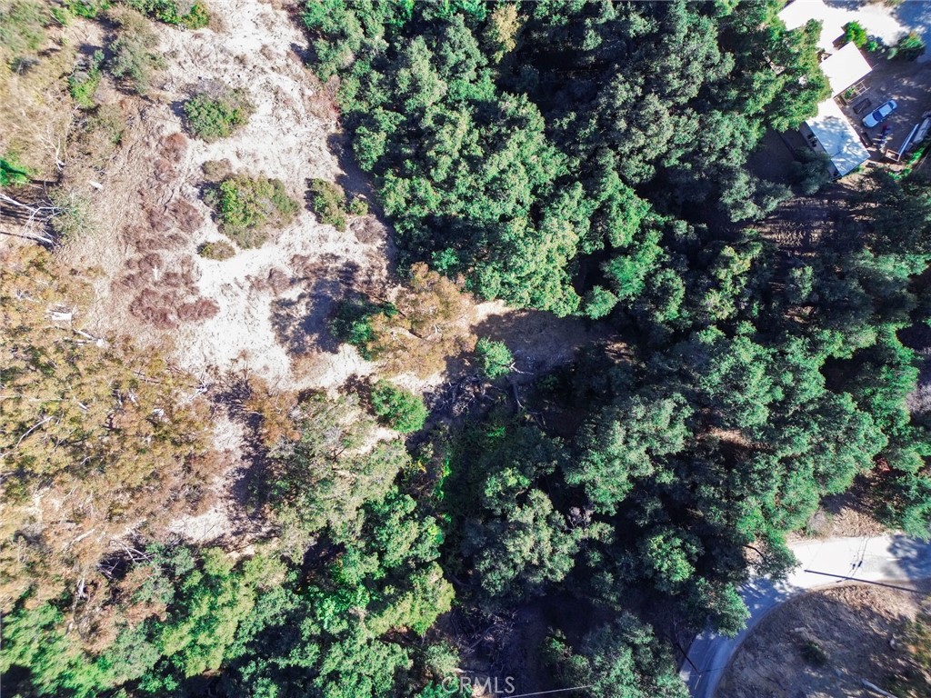 0 Live Oak Canyon Road