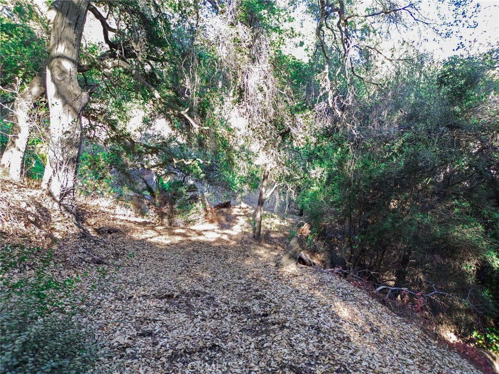 0 Live Oak Canyon Road