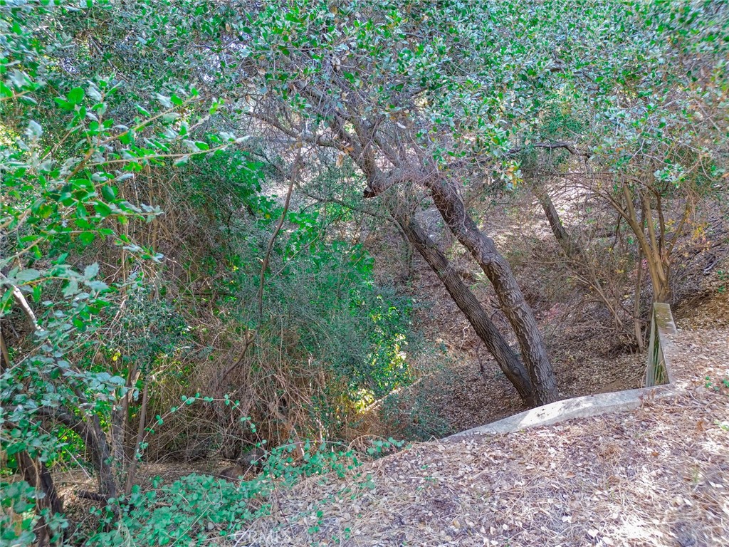 0 Live Oak Canyon Road