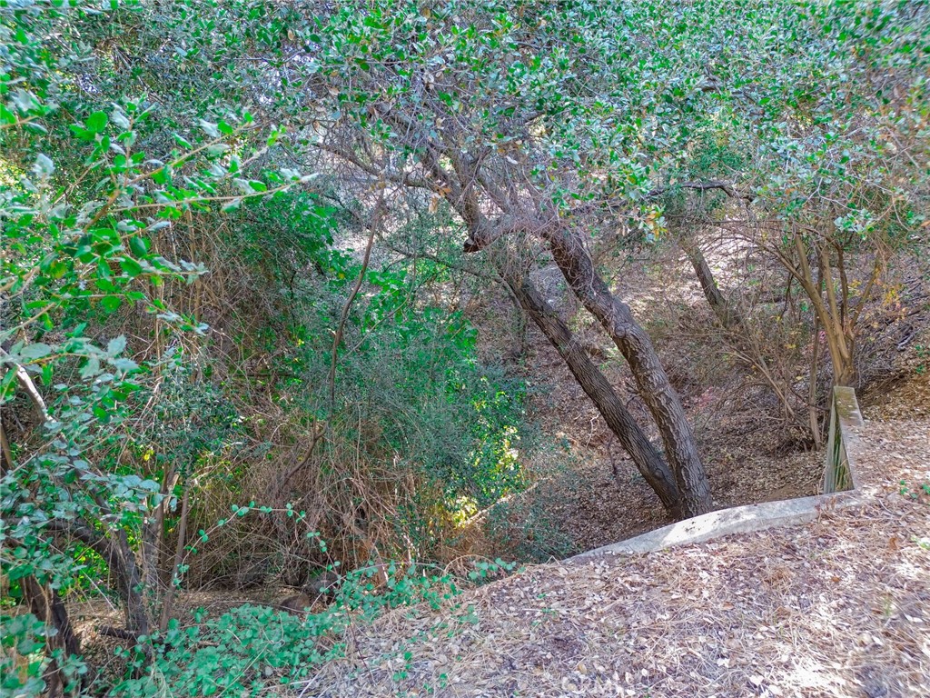 0 Live Oak Canyon Road