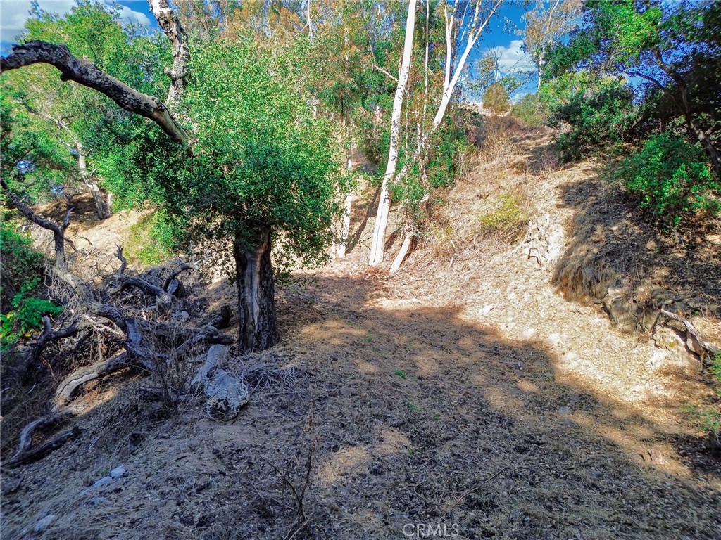 0 Live Oak Canyon Road