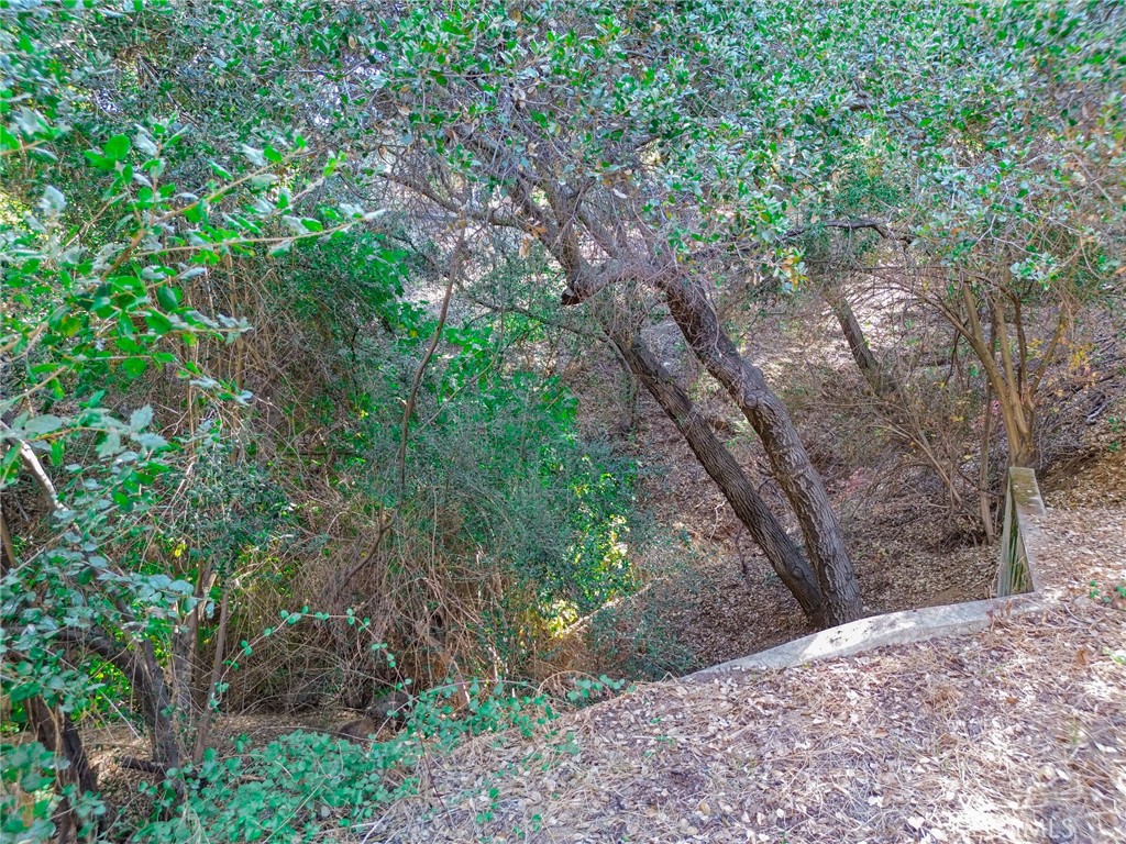 0 Live Oak Canyon Road