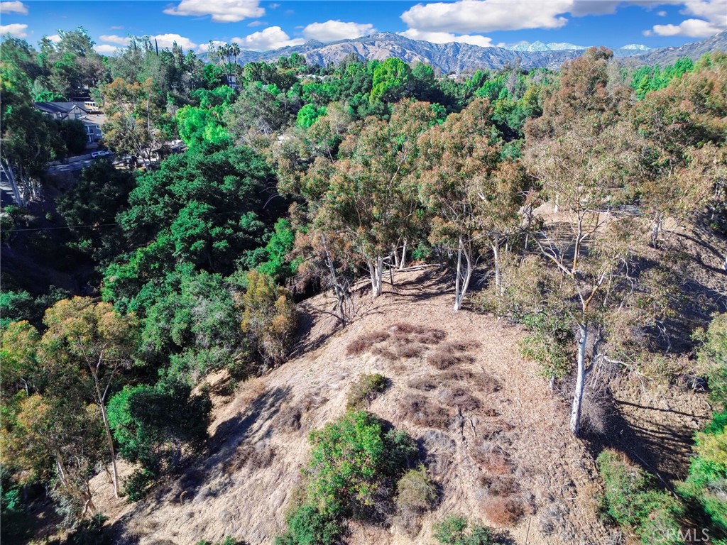 0 Live Oak Canyon Road