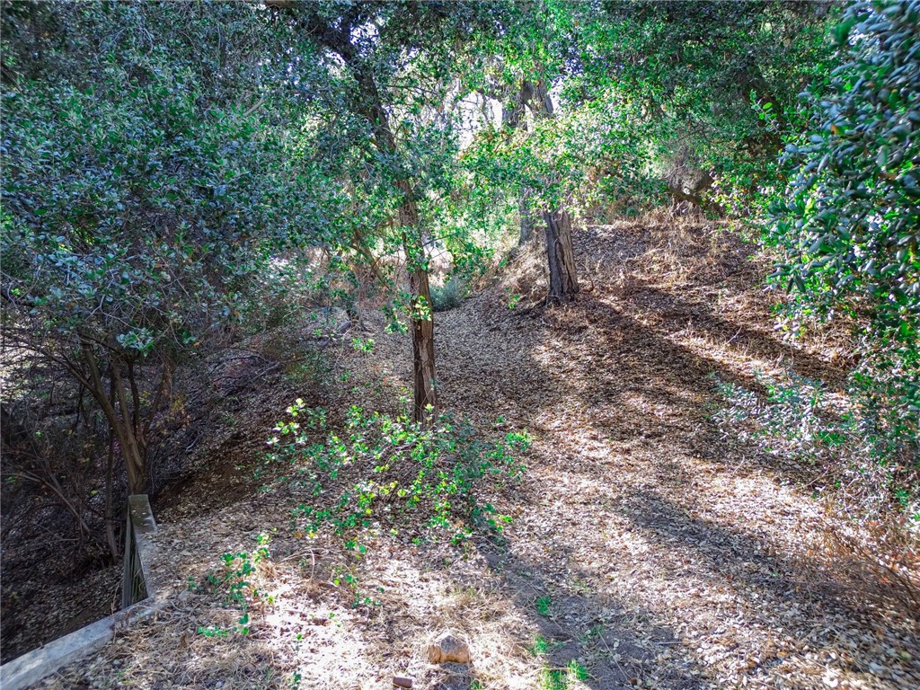 0 Live Oak Canyon Road