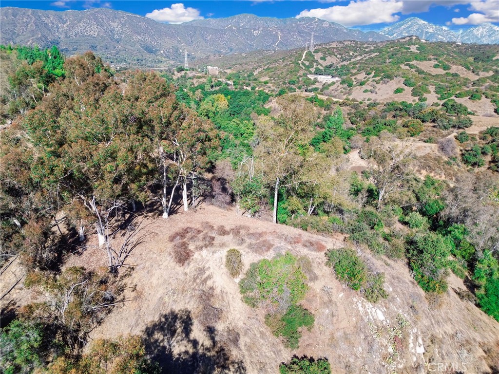 0 Live Oak Canyon Road