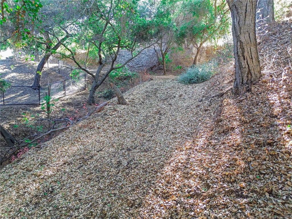 0 Live Oak Canyon Road