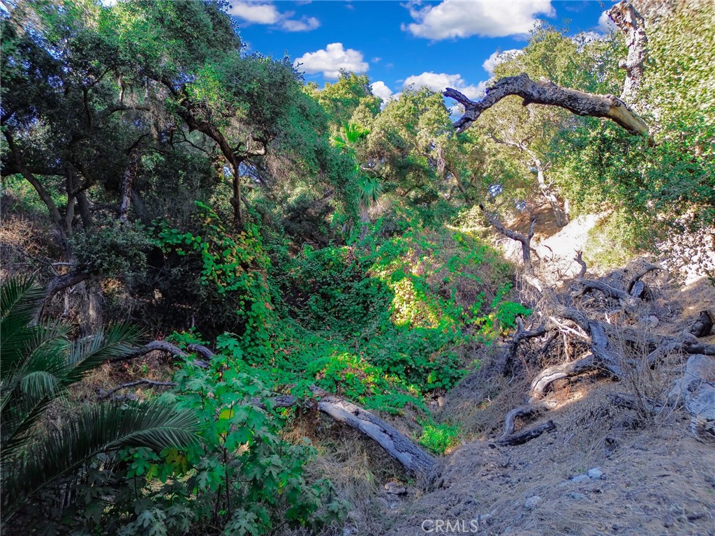 0 Live Oak Canyon Road