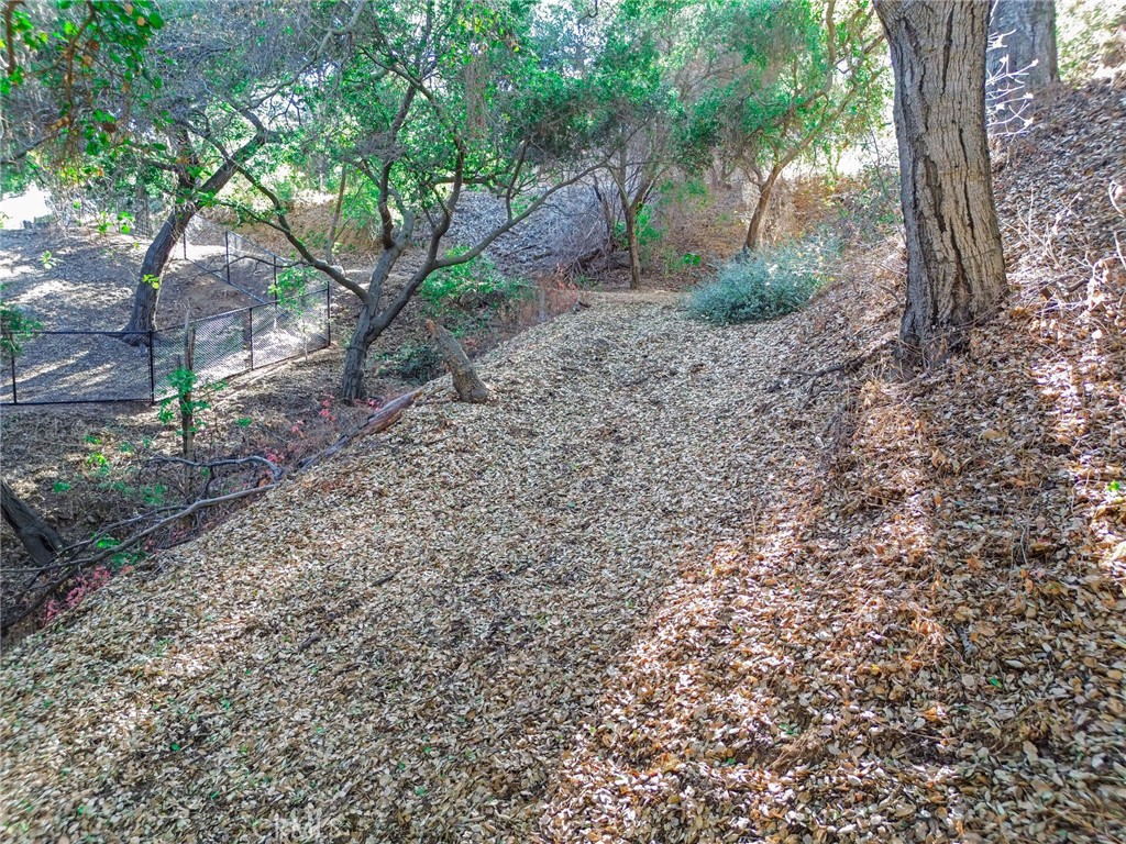 0 Live Oak Canyon Road