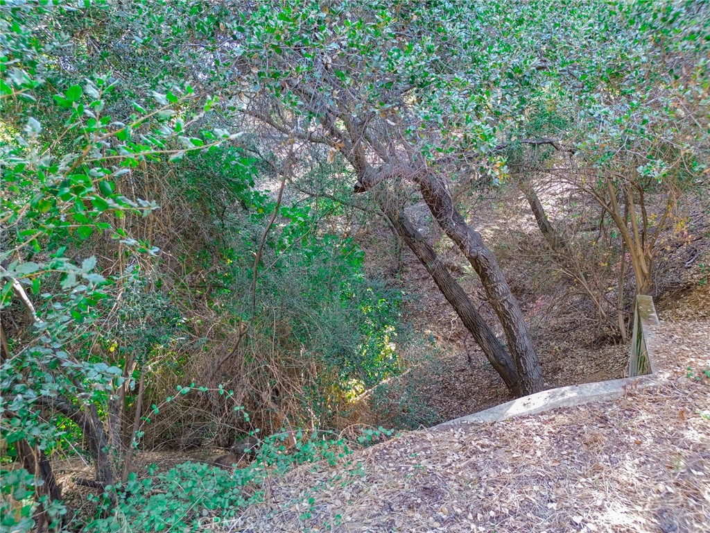 0 Live Oak Canyon Road