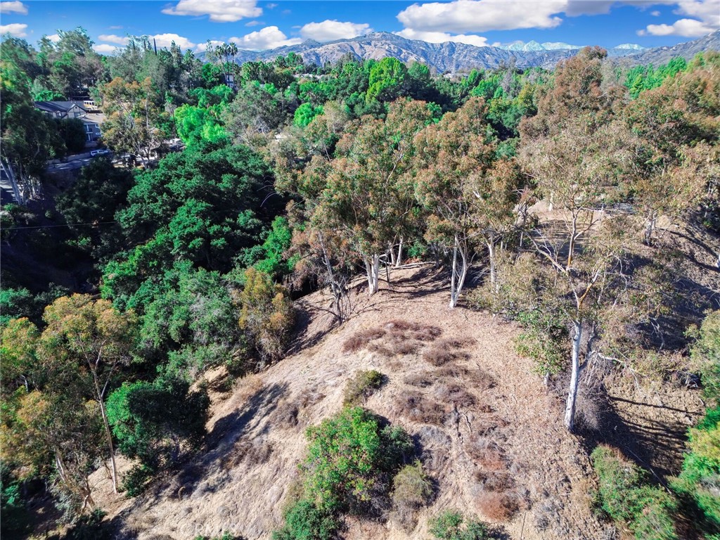 0 Live Oak Canyon Road