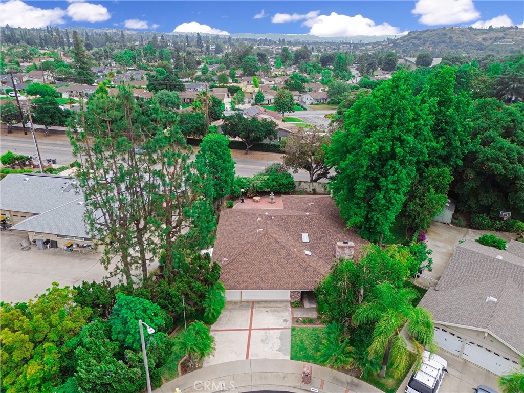 1740 Branch Oak Drive