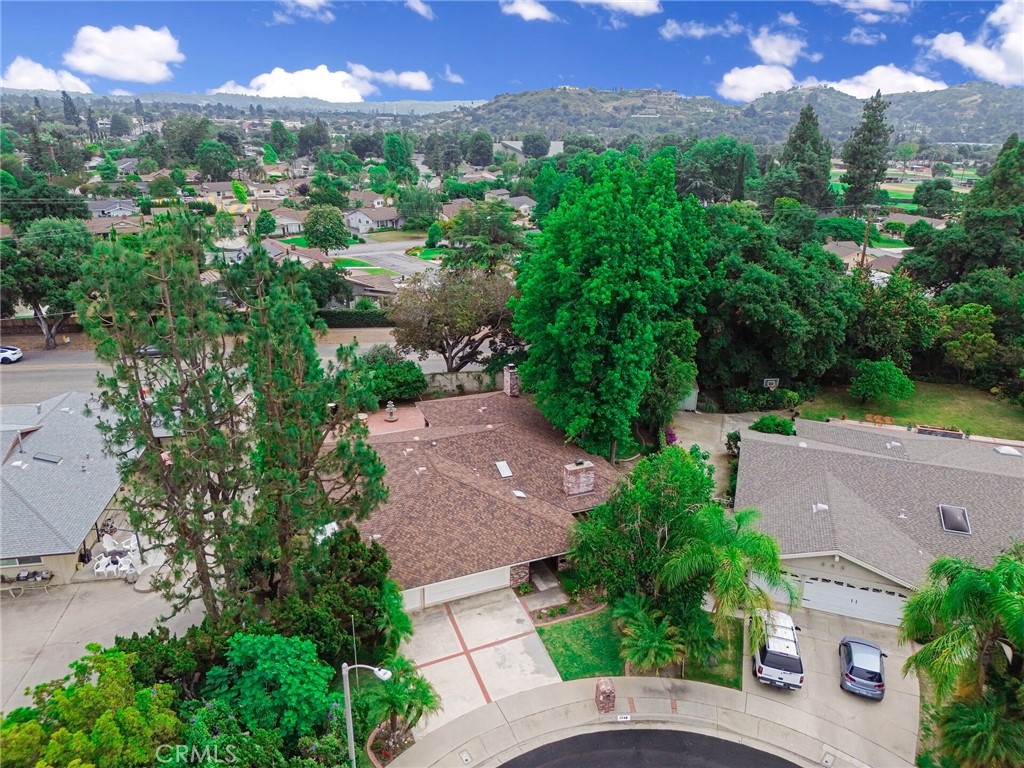 1740 Branch Oak Drive