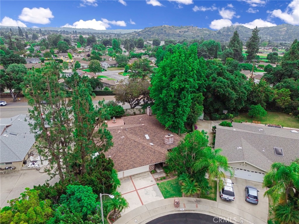 1740 Branch Oak Drive