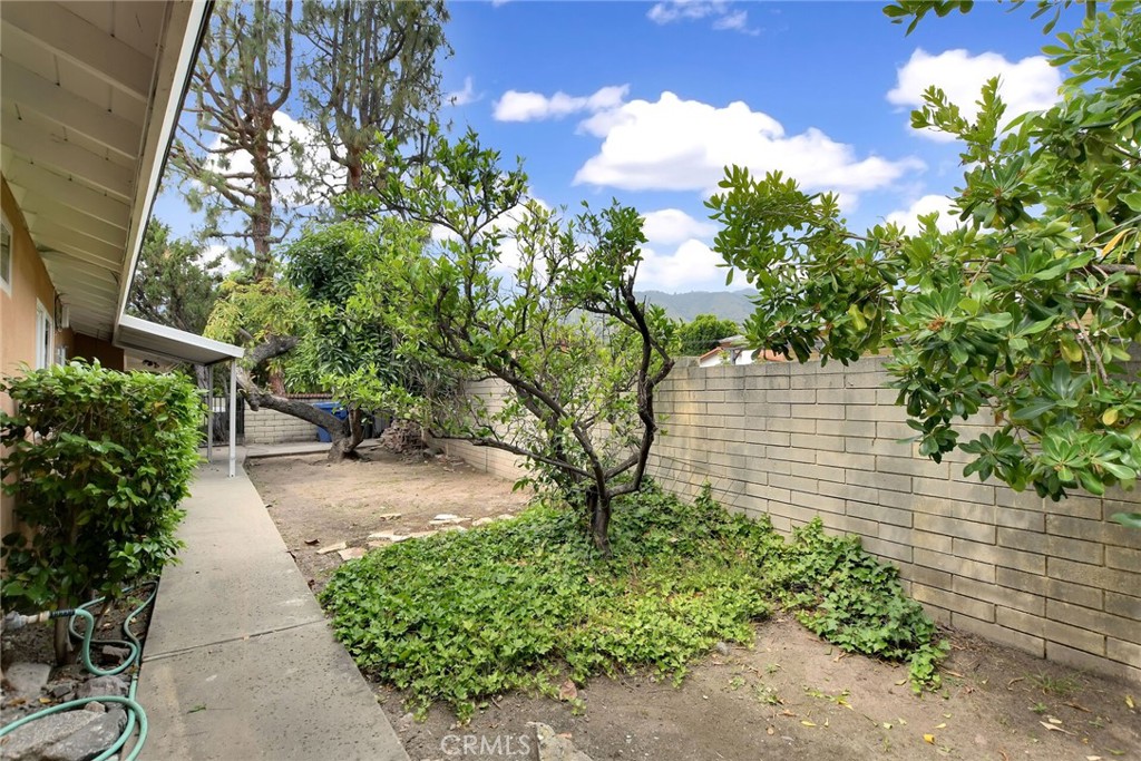 1740 Branch Oak Drive