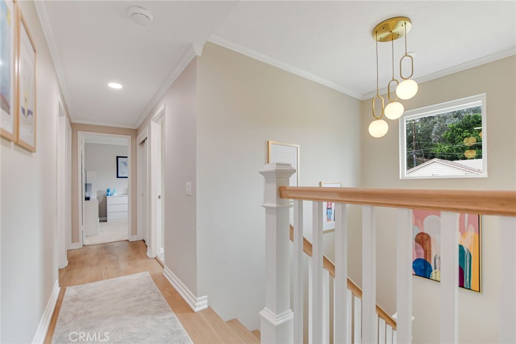 804 Puma Canyon Lane
