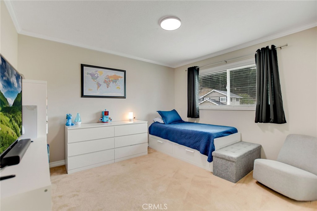 804 Puma Canyon Lane