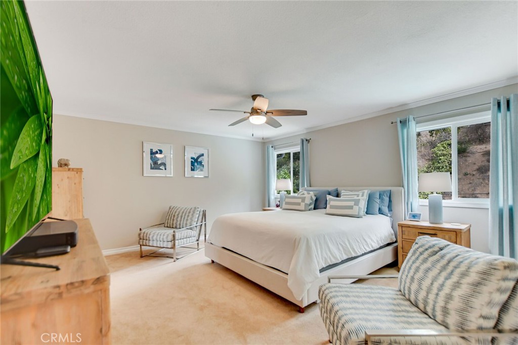 804 Puma Canyon Lane
