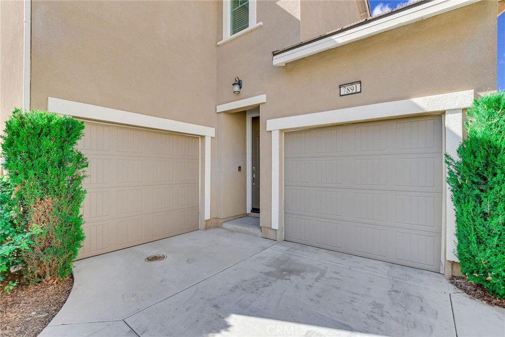 7891 Griffith Peak Street