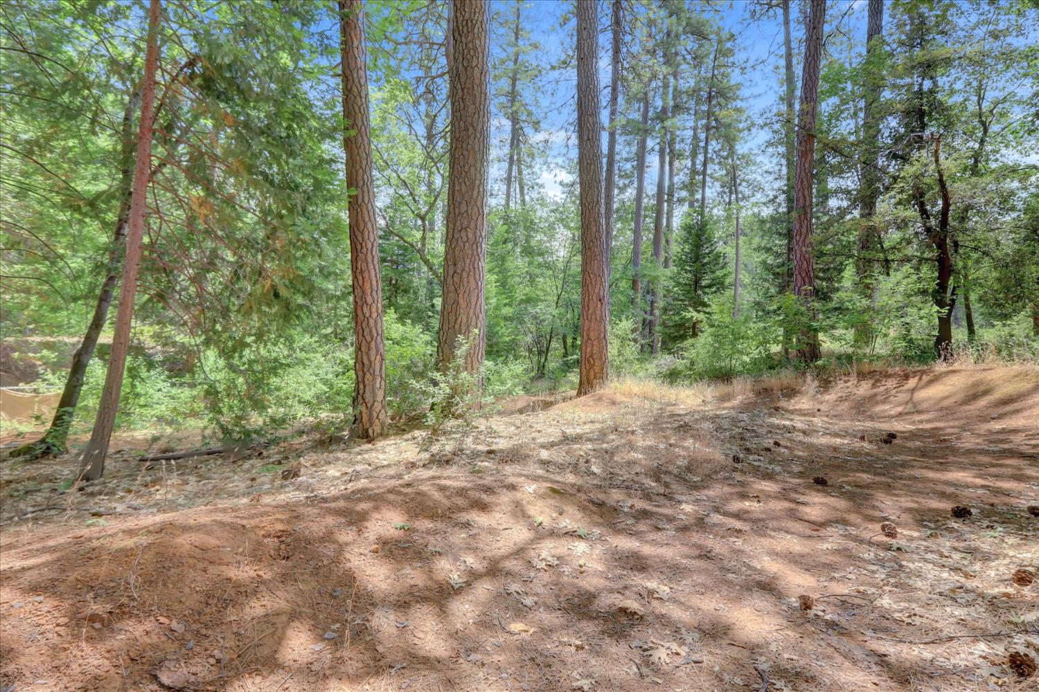 21580 Rambling Road