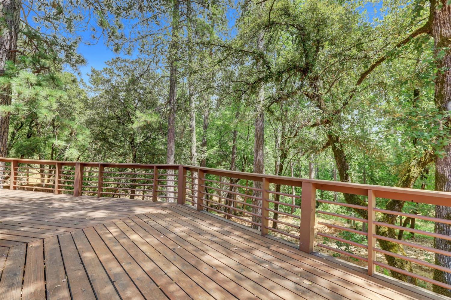 21580 Rambling Road