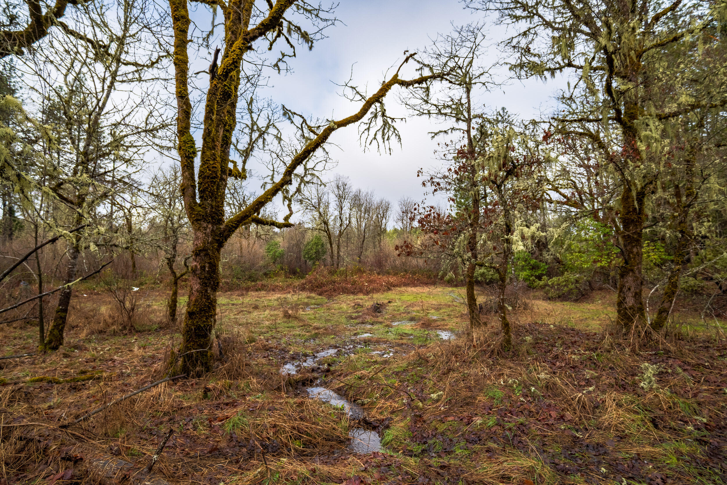 610 S Old Stage Road