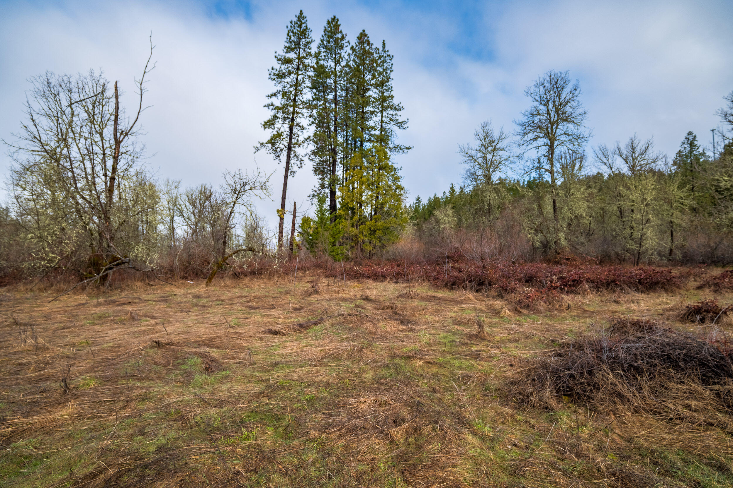 610 S Old Stage Road