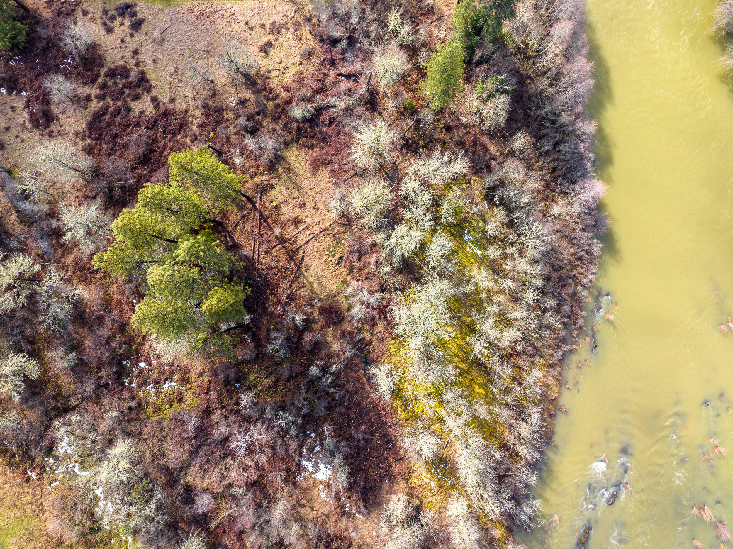 610 S Old Stage Road