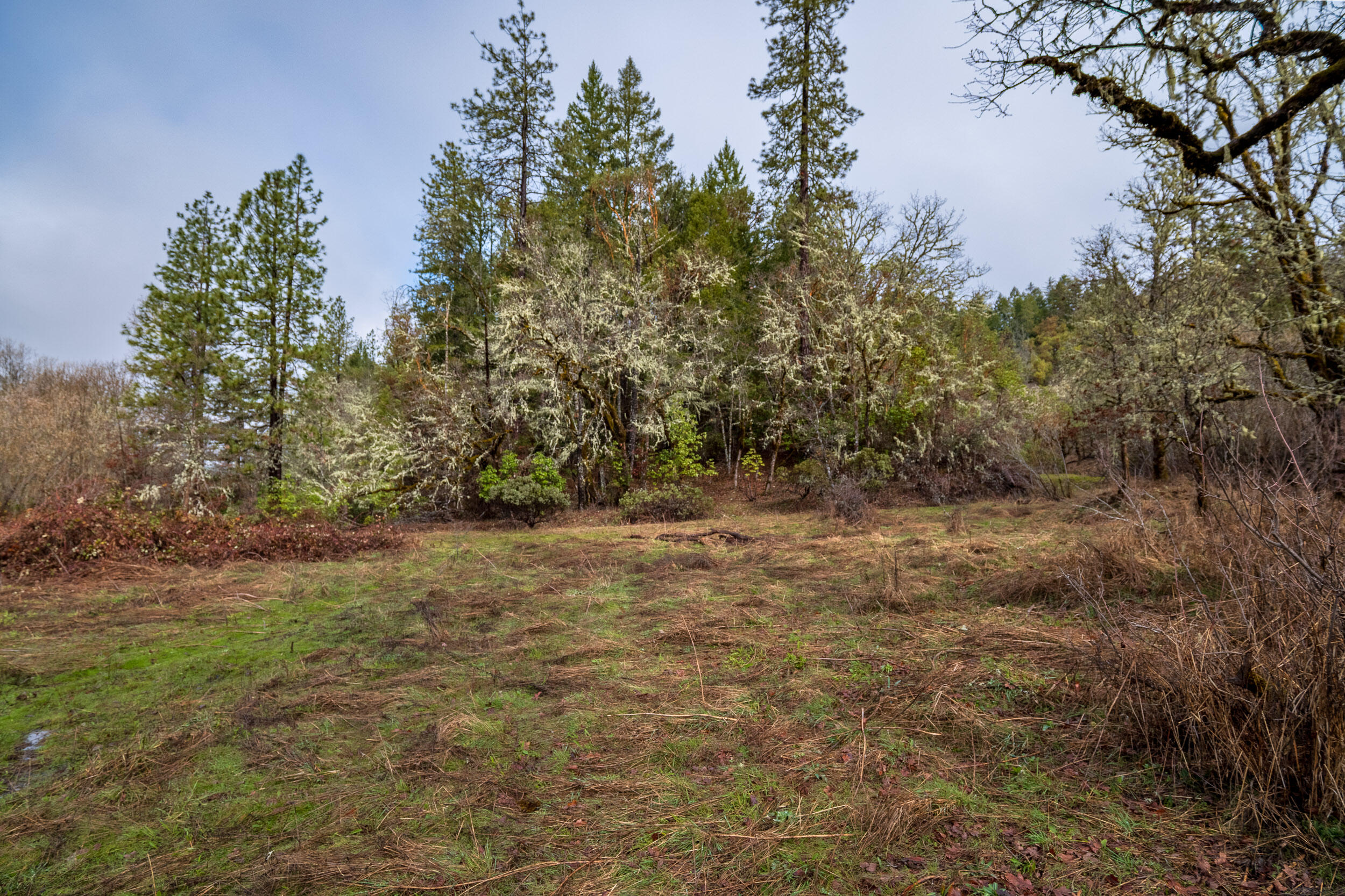 610 S Old Stage Road