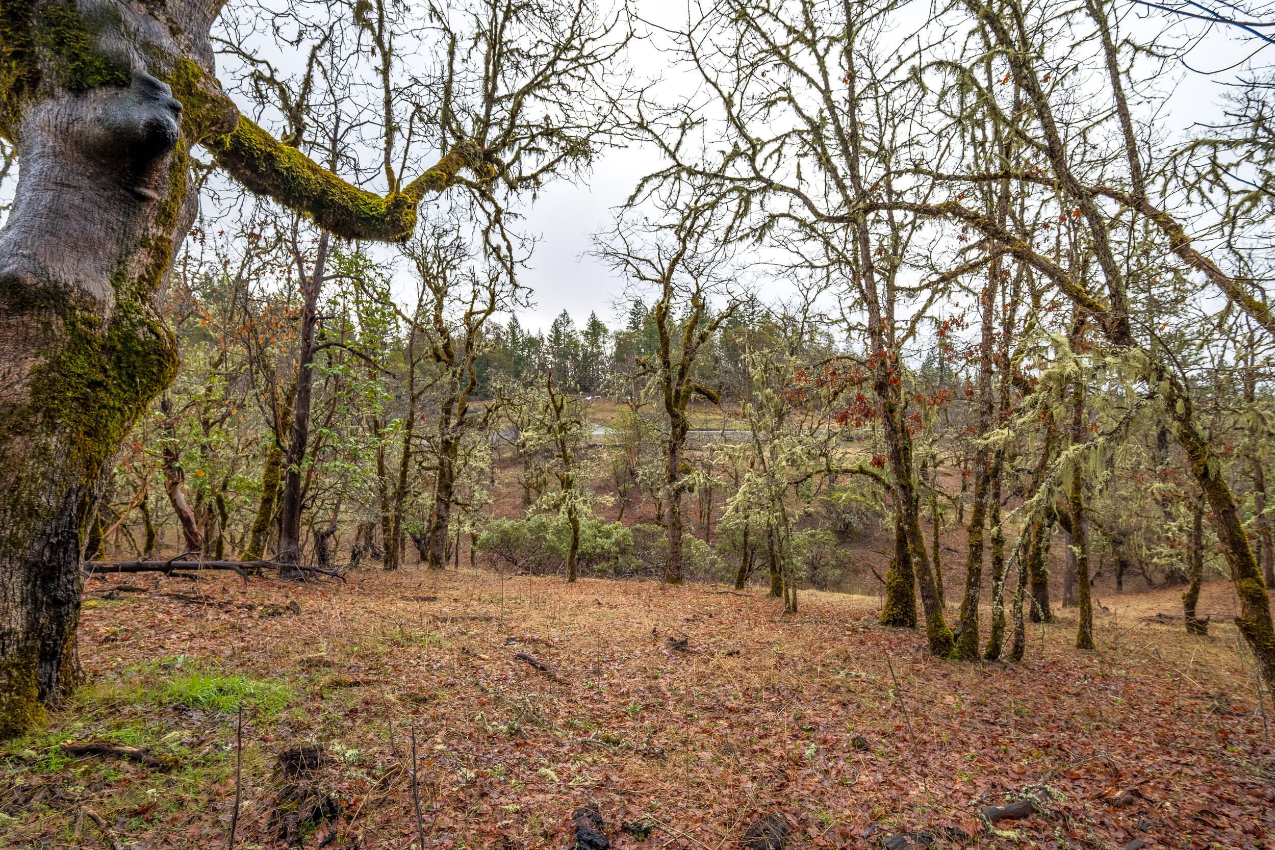 610 S Old Stage Road