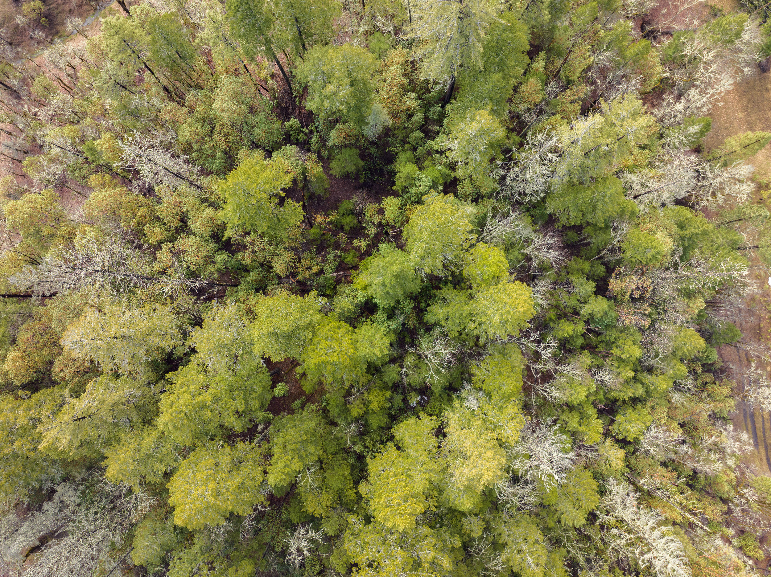 610 S Old Stage Road