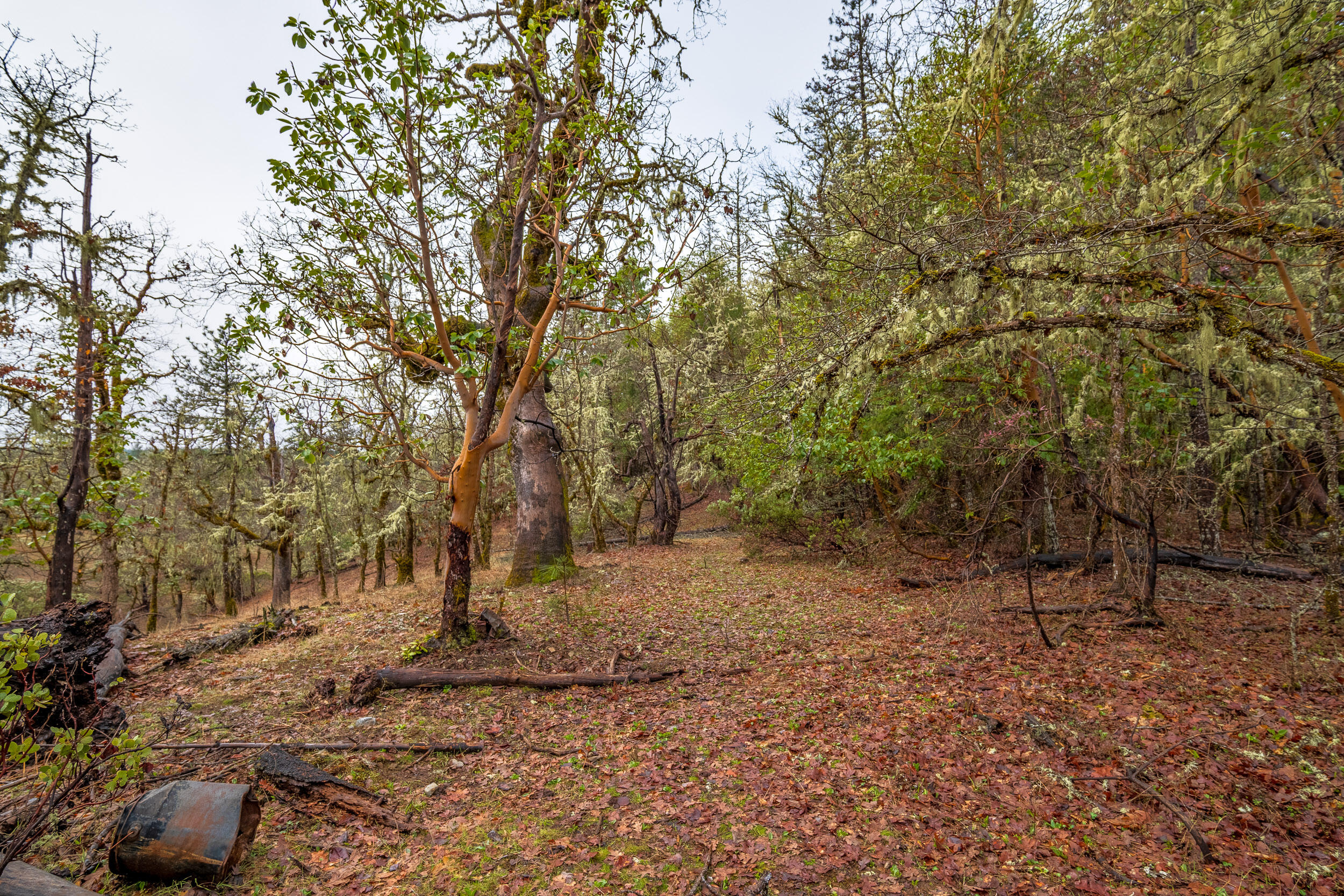 610 S Old Stage Road