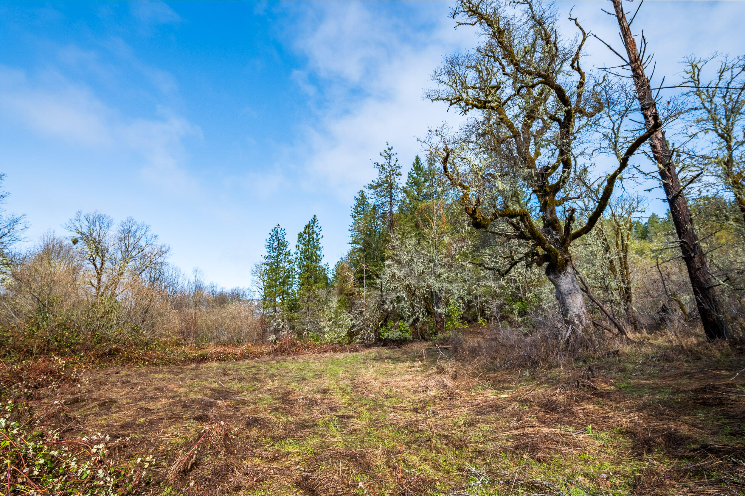 610 S Old Stage Road