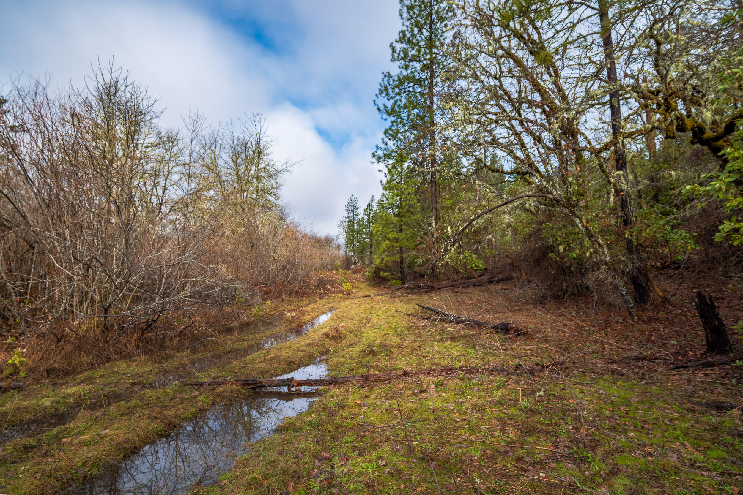 610 S Old Stage Road