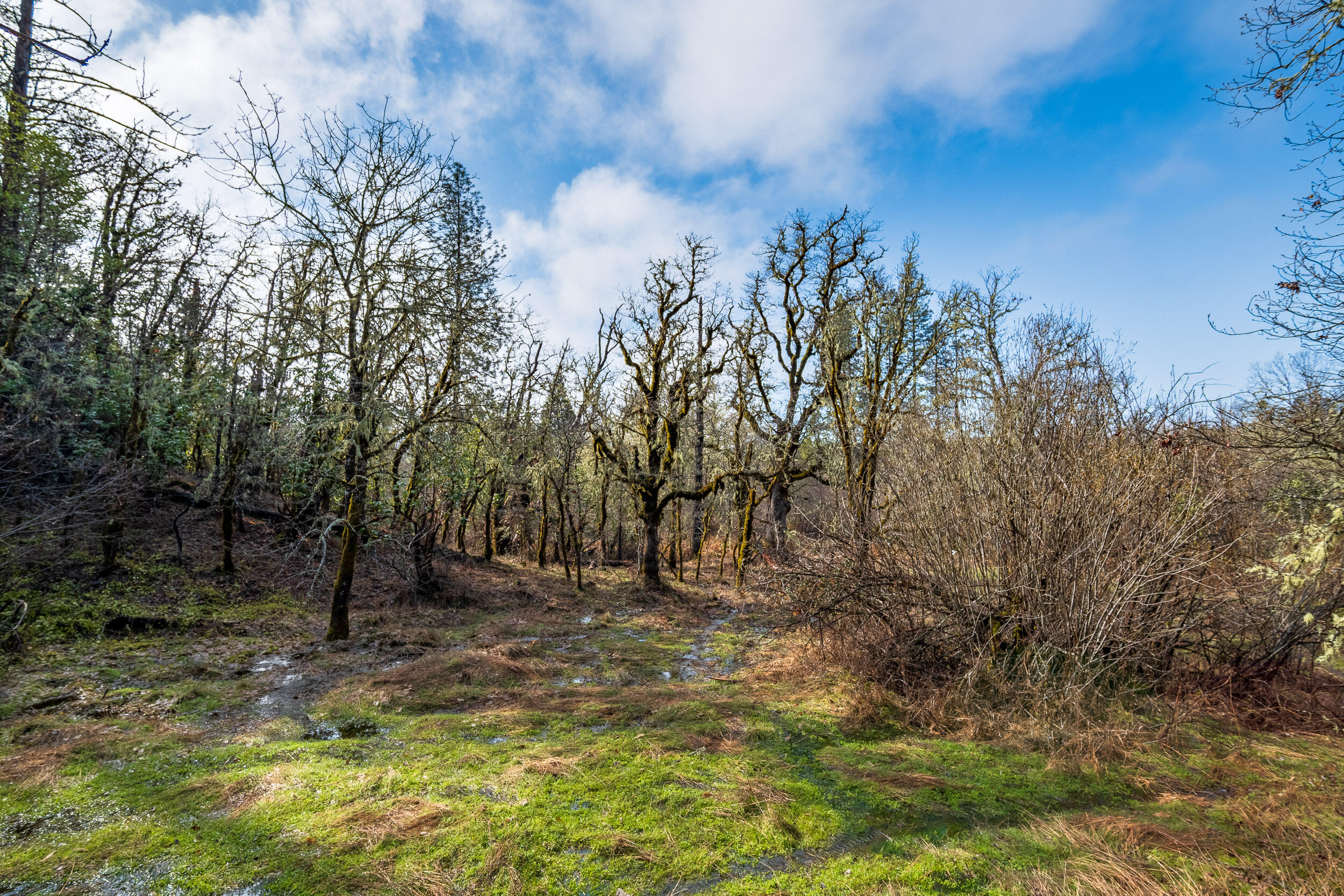 610 S Old Stage Road