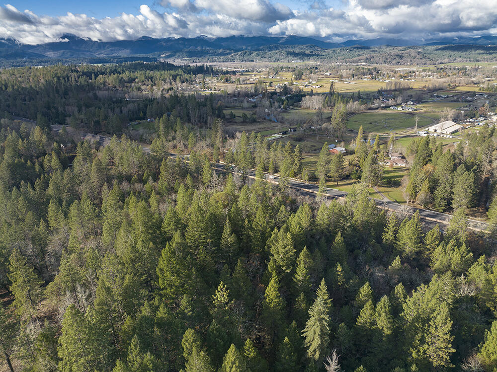 Redwood Highway