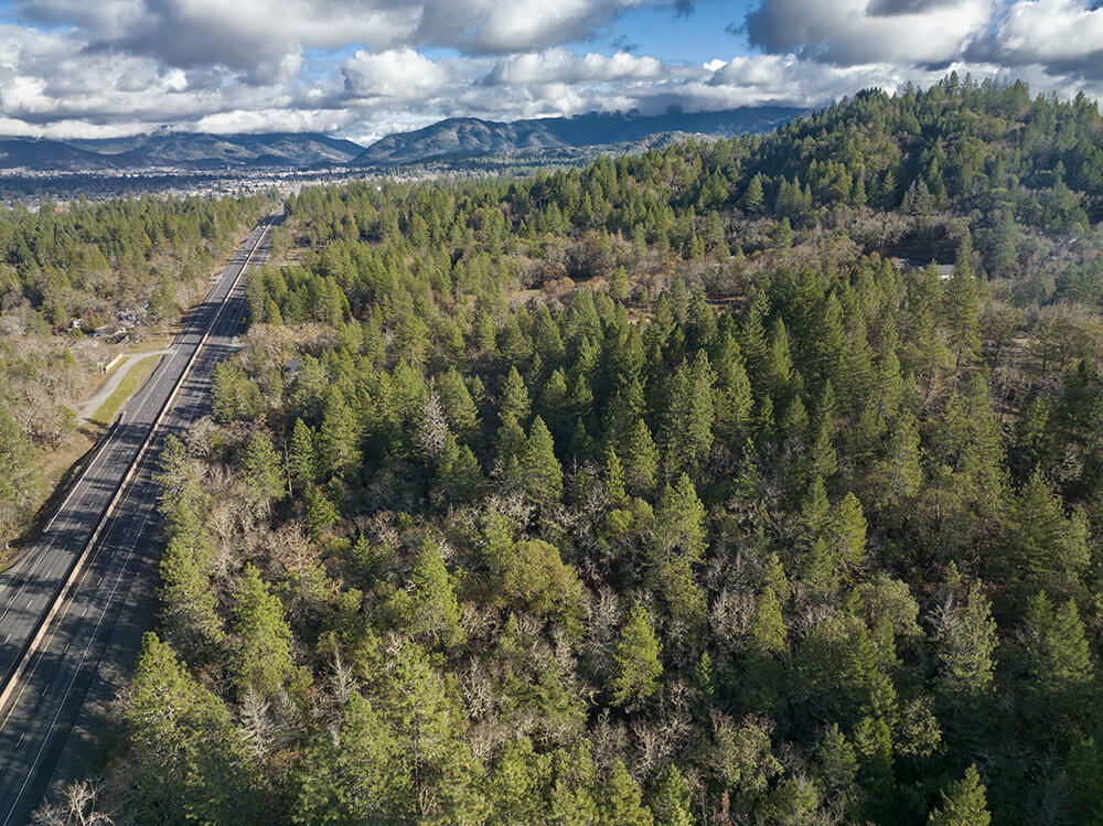 Redwood Highway