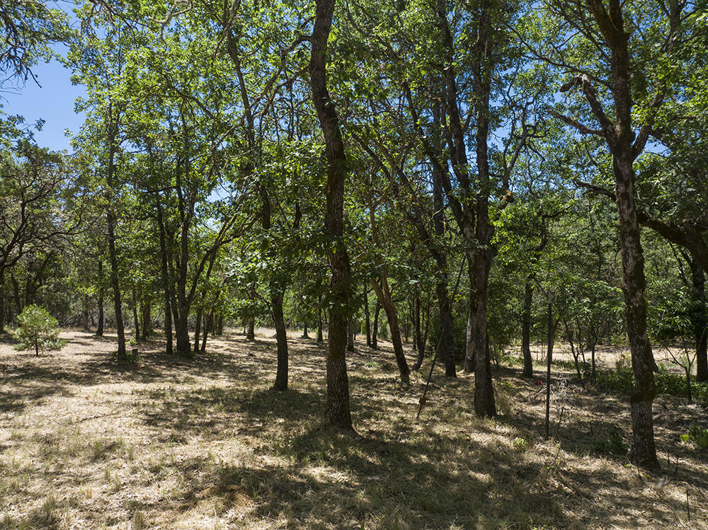 1185 W Jones Creek Road